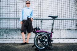 P Line 4 Speed With Roller Frame 2026 - Folding Bike image 7