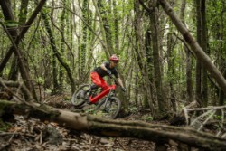 Level R 2026 - Electric Mountain Bike image 8