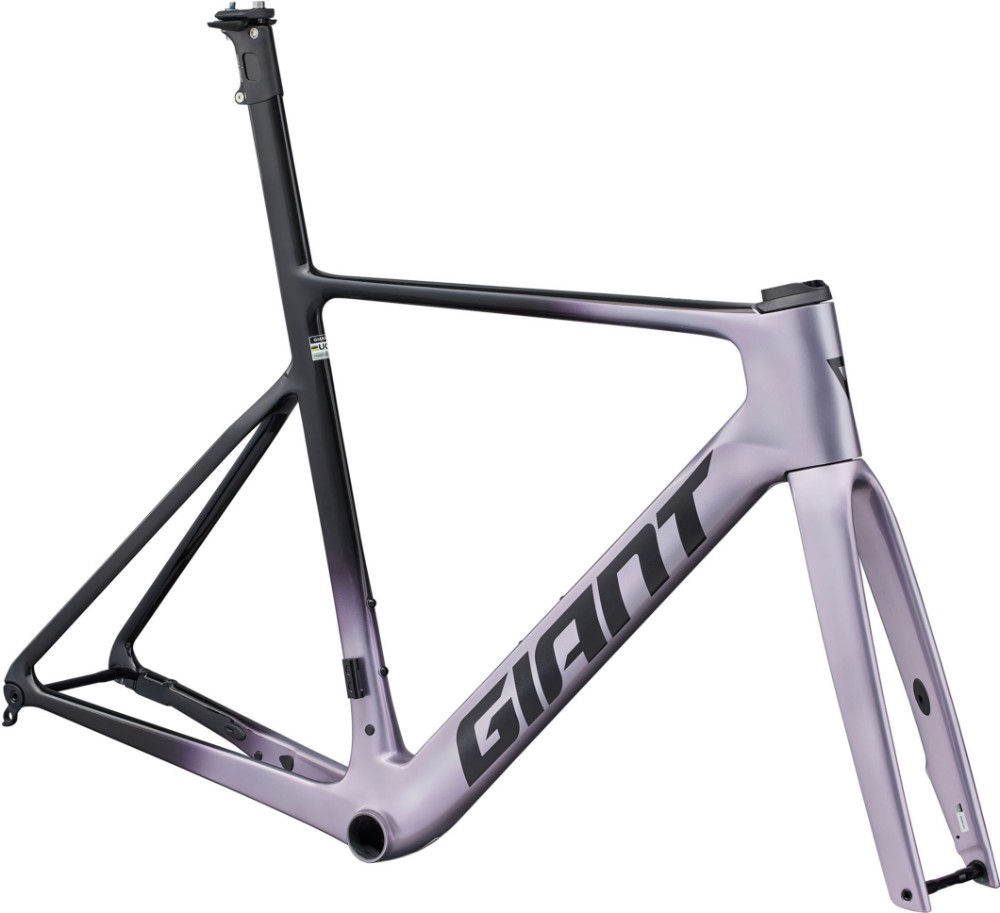 Propel Advanced SL Frameset image 1