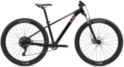 Liv Tempt 4 Mountain Bike 2025 - Hardtail MTB