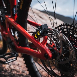 Gustav PRO First Edition image 4