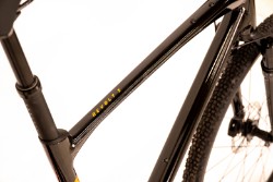 Revolt X 1 2025 - Gravel Bike image 3