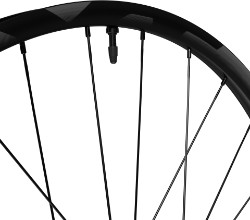 XT M8200 XT 29" Rear Wheel image 3