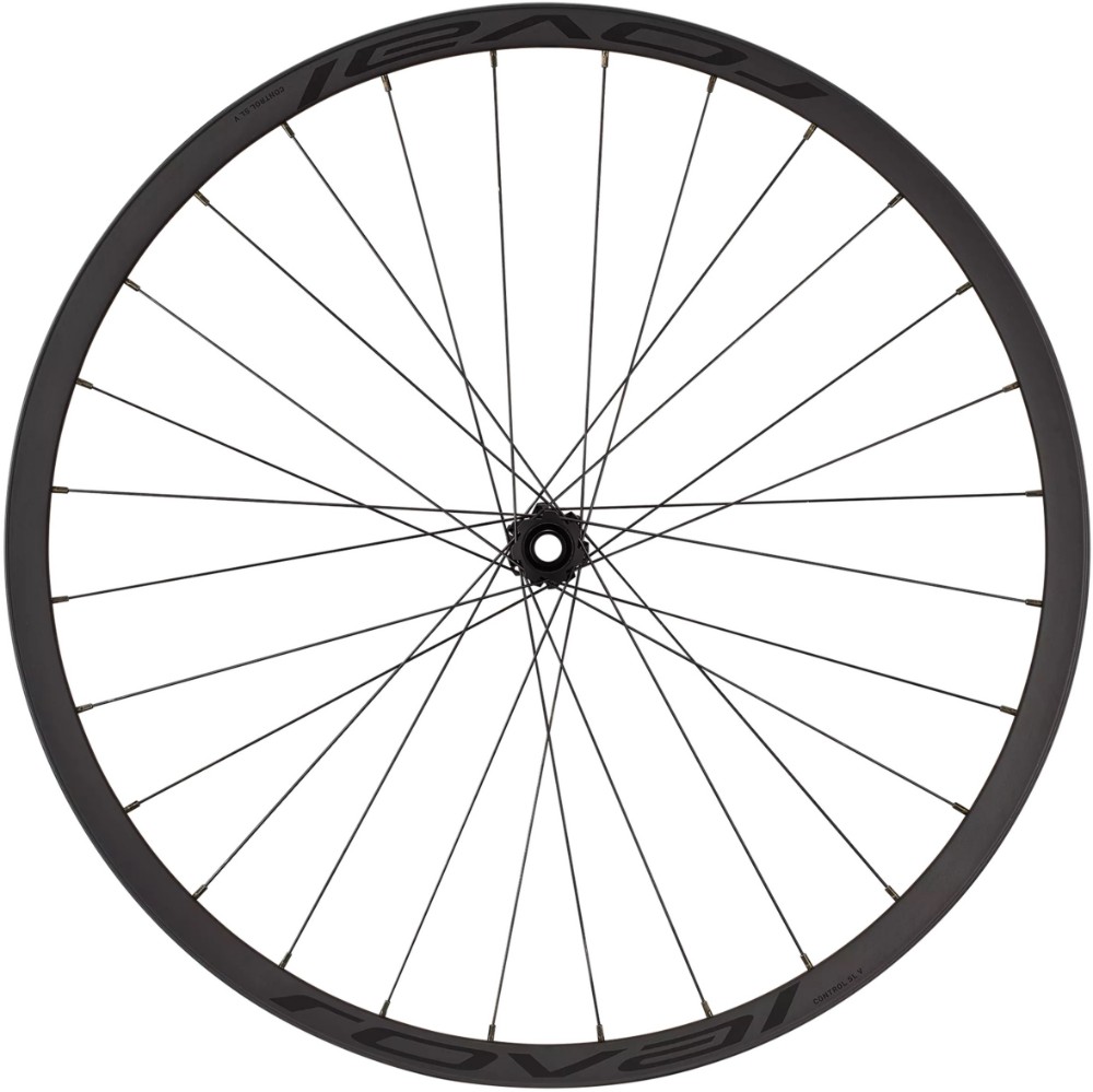 Control SL V 370 29" Front Wheel image 1