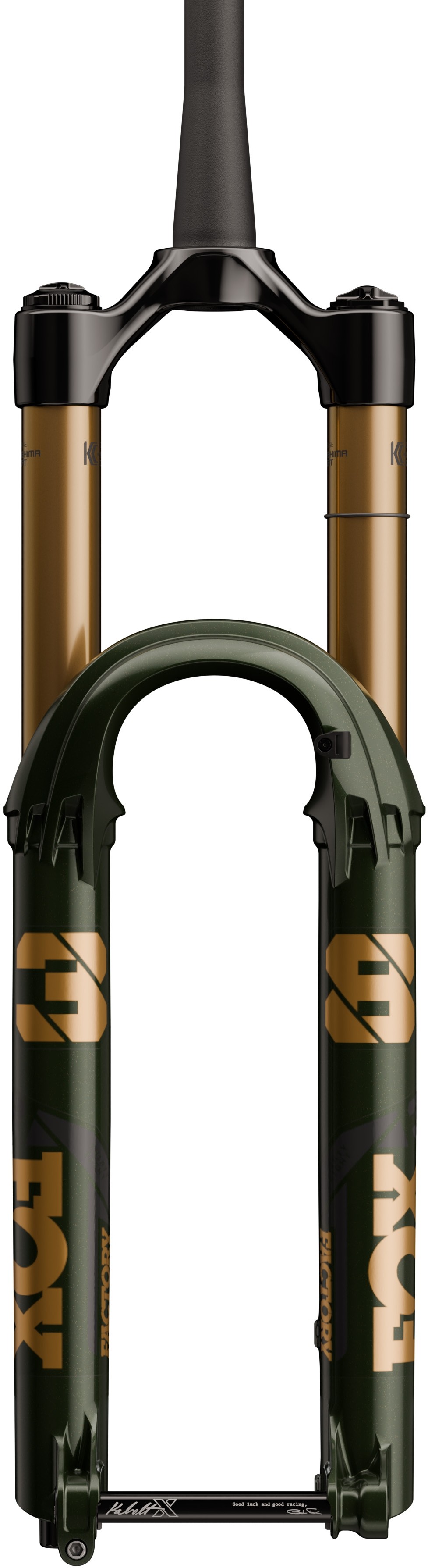 38 Float Factory 170mm 29 Grip X2 Kabolt X 110 Tapered Ltd Edition Forks image 1