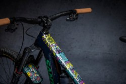 MTB Frame Protection Kit - Victor Brousseaud Artist Series image 3