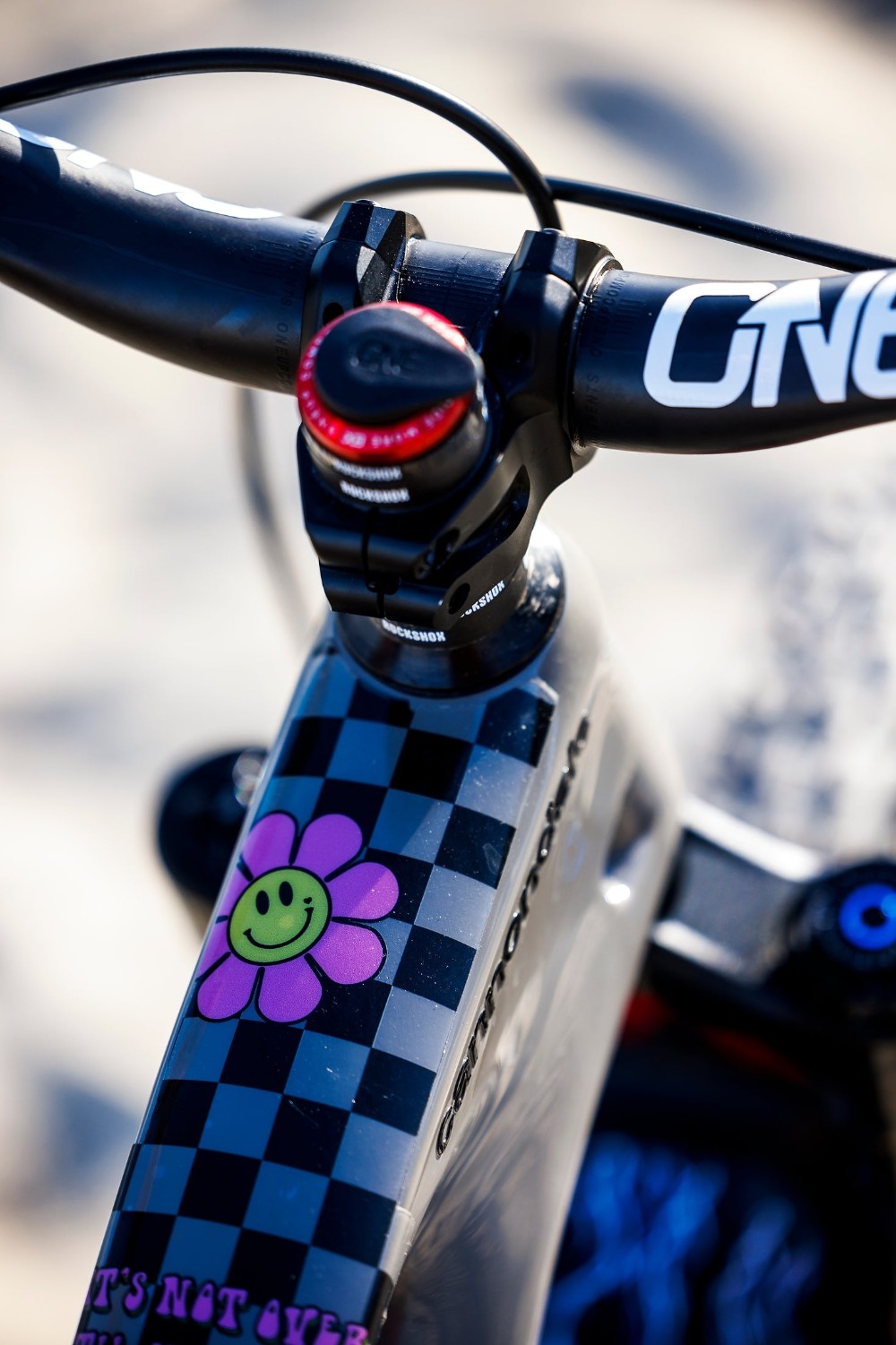 MTB Frame Protection Kit - Ella Conolly Signature Series image 2