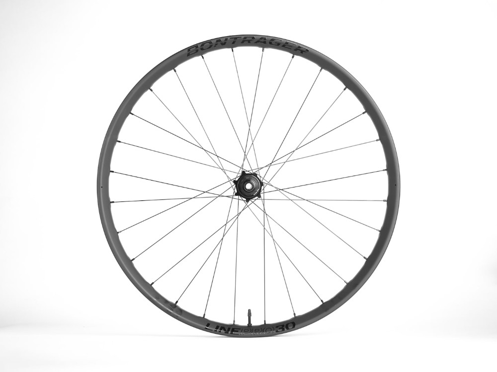 Line Pro 30 TLR 29" Disc 110mm Front MTB Bike Wheel image 0