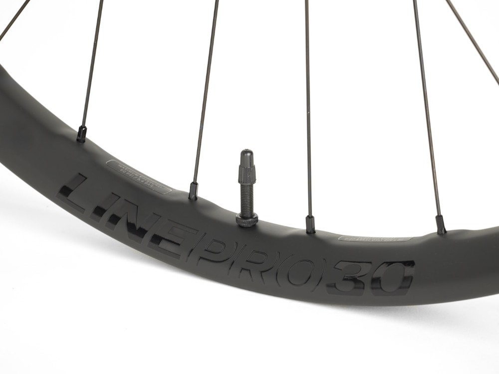 Line Pro 30 TLR 29" Disc 110mm Front MTB Bike Wheel image 1