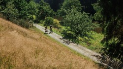 Reaction Hybrid Pro 800 Trapeze 2026 - Electric Mountain Bike image 7