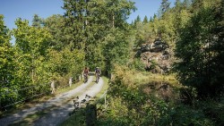 Reaction Hybrid SLX 800 2026 - Electric Mountain Bike image 7