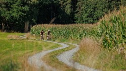 Attention Pro Mountain Bike 2026 - Hardtail MTB image 7