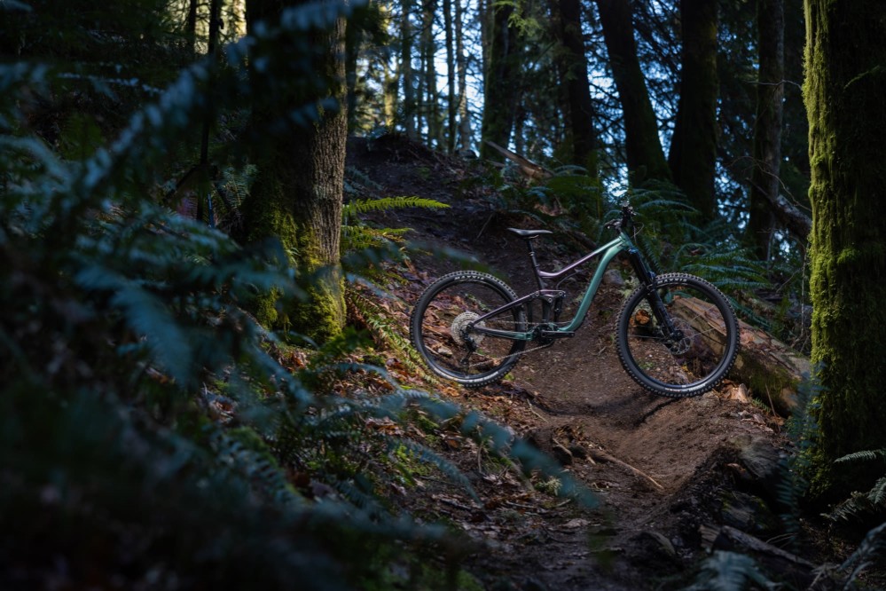 Reign 2 Mountain Bike 2026 - Enduro Full Suspension MTB image 2