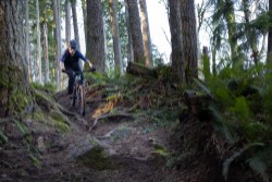Reign 2 Mountain Bike 2026 - Enduro Full Suspension MTB image 8