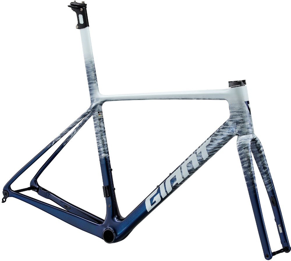 TCR Advanced SL Frameset image 1