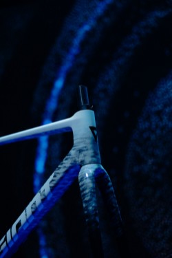 TCR Advanced SL Frameset image 3