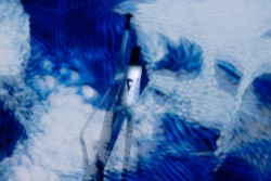 TCR Advanced SL Frameset image 4