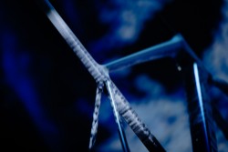 TCR Advanced SL Frameset image 5