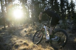 Anthem Advanced SL SE Mountain Bike 2026 - XC Full Suspension MTB image 12