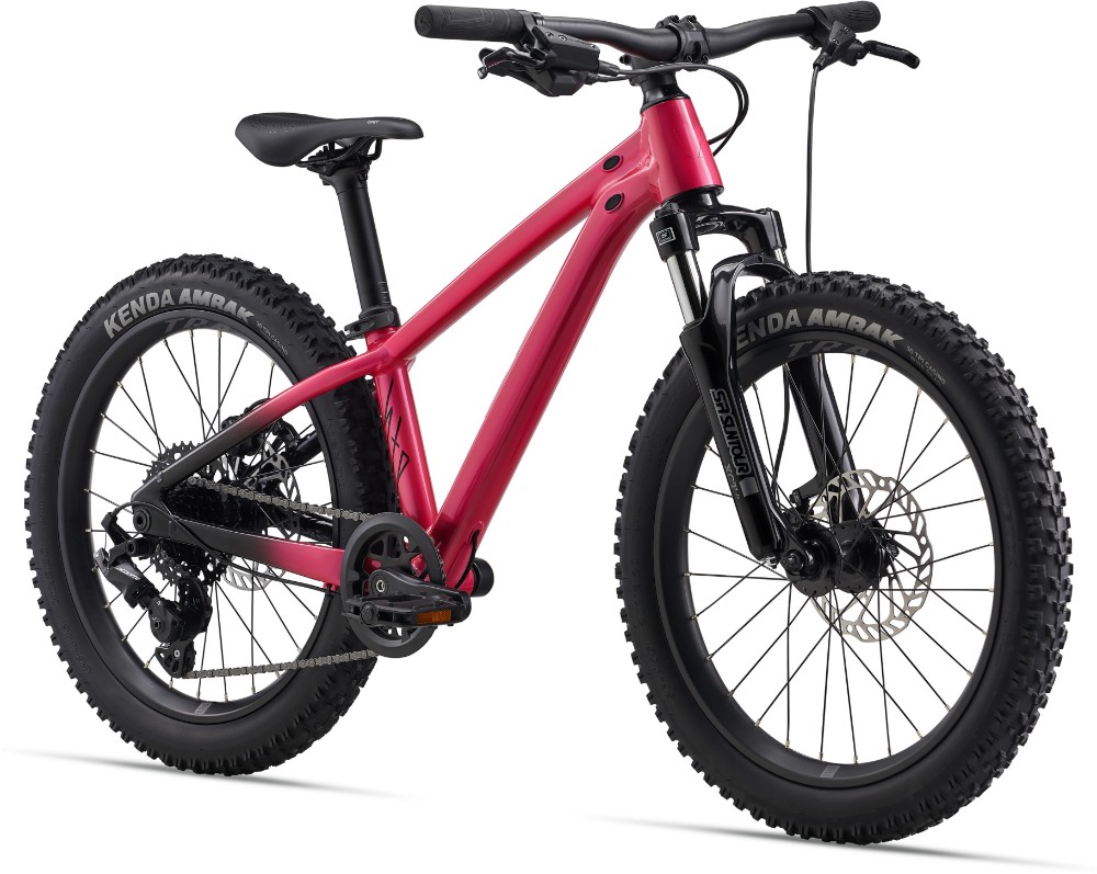 STP 20 FS 2026 - Kids Bike image 1