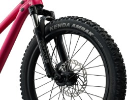 STP 20 FS 2026 - Kids Bike image 4