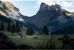 ER 1600 Spline Disc Brake Front Wheel image 3