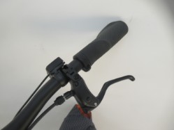 Electric G Line 4 Speed with Roller Frame - Nearly New - L 2026 - Electric Folding Bike image 13