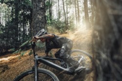 Zendit R 2027 - Electric Mountain Bike image 15