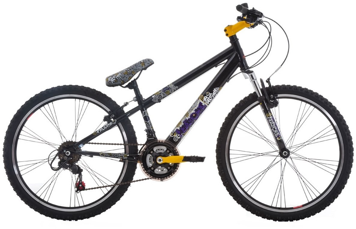 Raleigh Awesome 24w product image