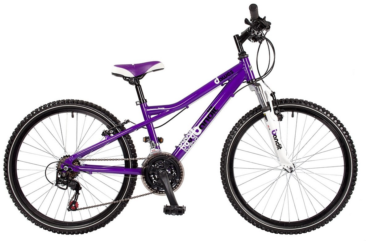 Dawes Bandit 24w Girls 2013 - Junior Bike product image